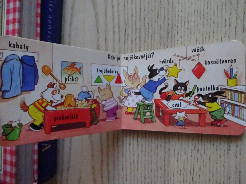 VE ŠKOLE, **an
