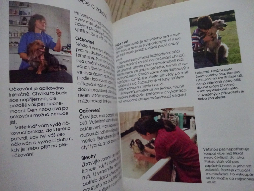 BYDLÍ S NÁMI PES, **an