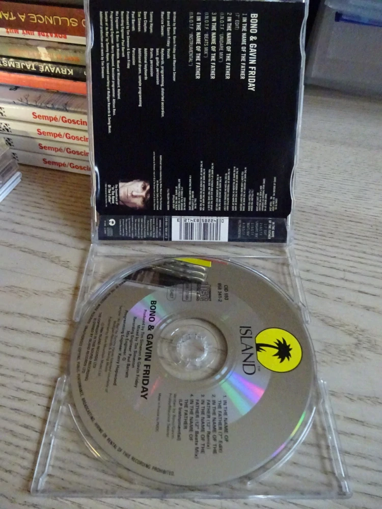 BONO & GAVIN FRIDAY, IN THE NAME OF THE FATHER, CD HUDBA