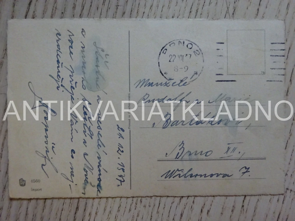 VESELÉ VÁNOCE, SNÍH, LES, BĚŽKY, LYŽE