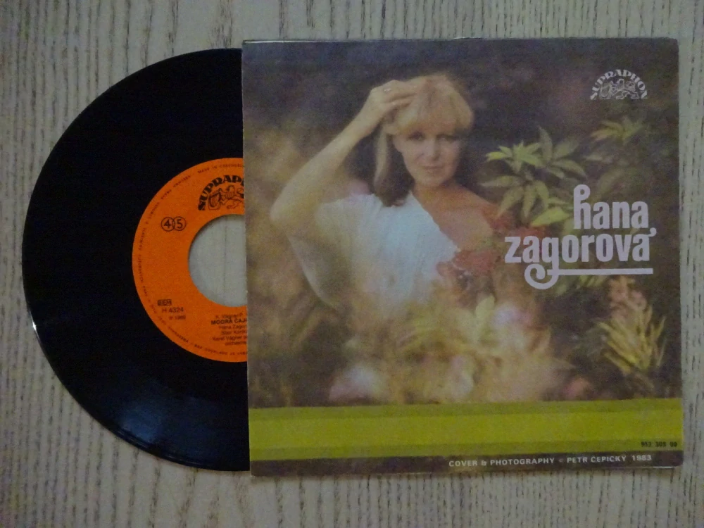 HANA ZAGOROVÁ, RYBIČKO ZLATÁ, PŘEJU SI, MODRÁ ČAJOVNA, MALÁ DESKA