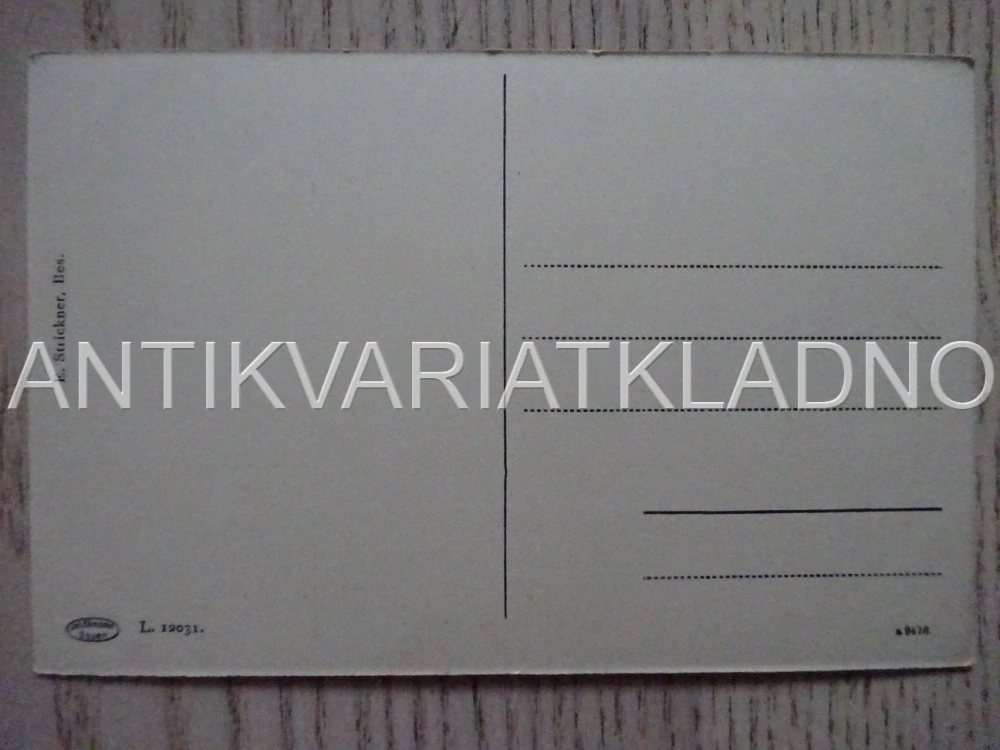 RAKOUSKO (?), POHLEDNICE 310