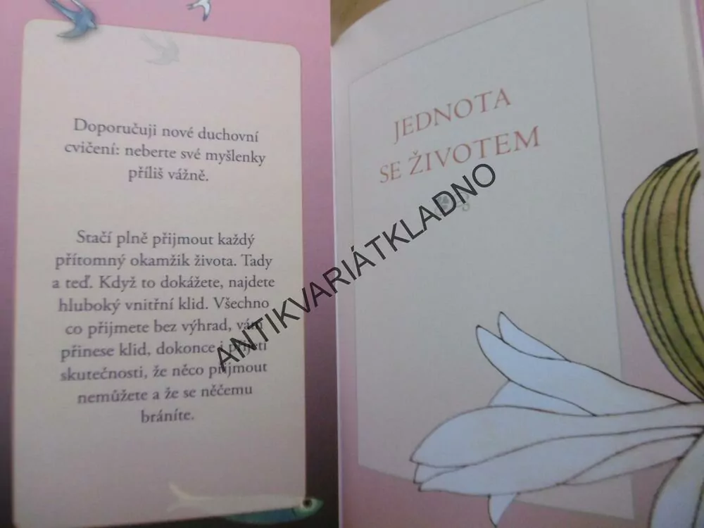 JEDNOTA SE ŽIVOTEM, ECKHART TOLLE,