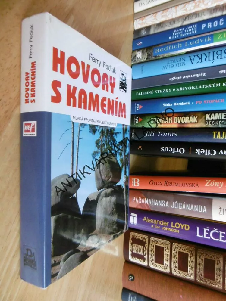 HOVORY S KAMENÍM, FERRY FEDIUK, **an