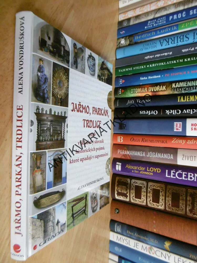 JAŘMO, PARKÁN, TRDLICE, ANEB VÝKLADOVÝ SLOVNÍK HISTORICKÝCH POJMŮ, KTERÉ UPADAJÍ V ZAPOMNĚNÍ