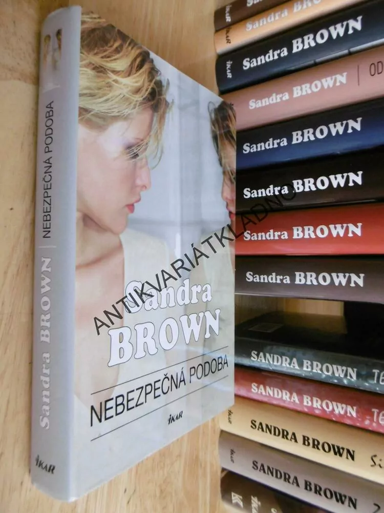 NEBEZPEČNÁ PODOBA, SANDRA BROWN