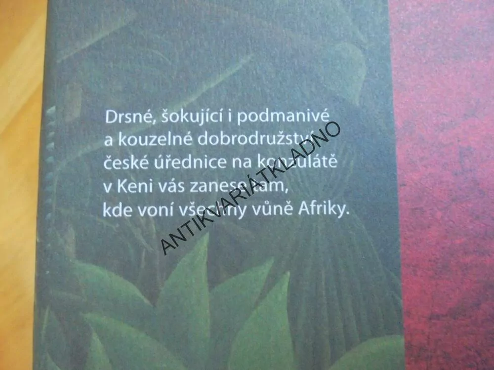 VŠECHNY VŮNĚ AFRIKY, ZUZANA BERANOVÁ, **an