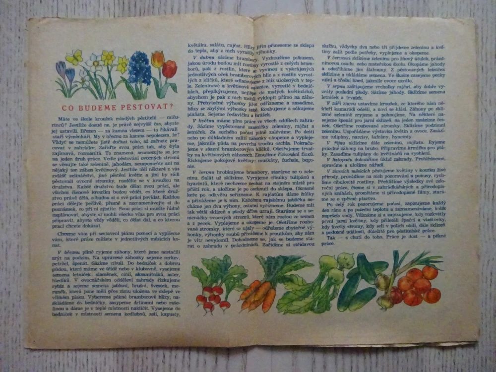 OHNÍČEK Č. 16/1951, KOMIKS, NEPRAKTA, SEKORA, BURIAN