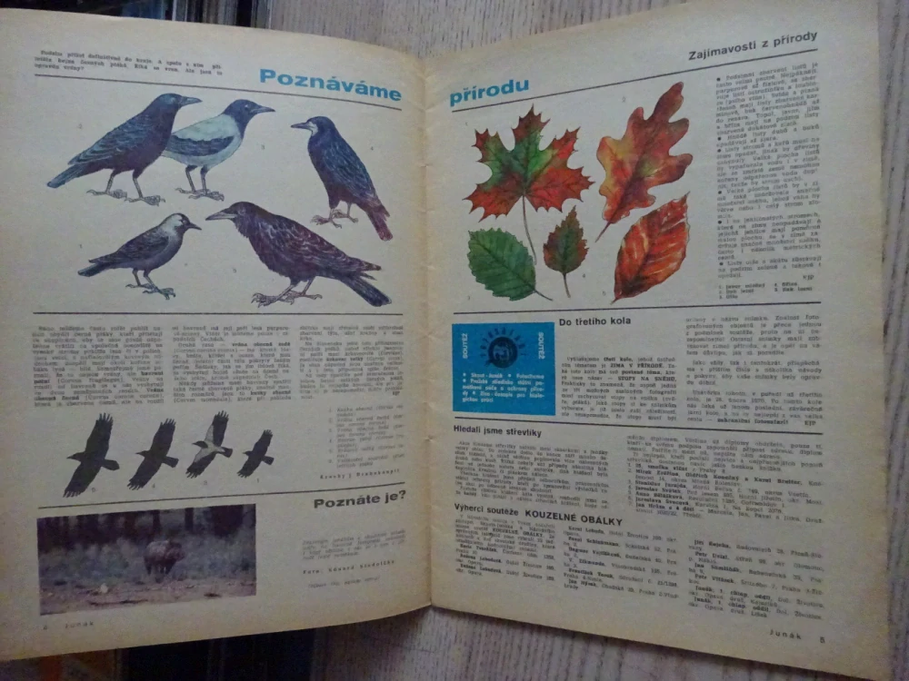JUNÁK, SKAUT, 11/1969, **an