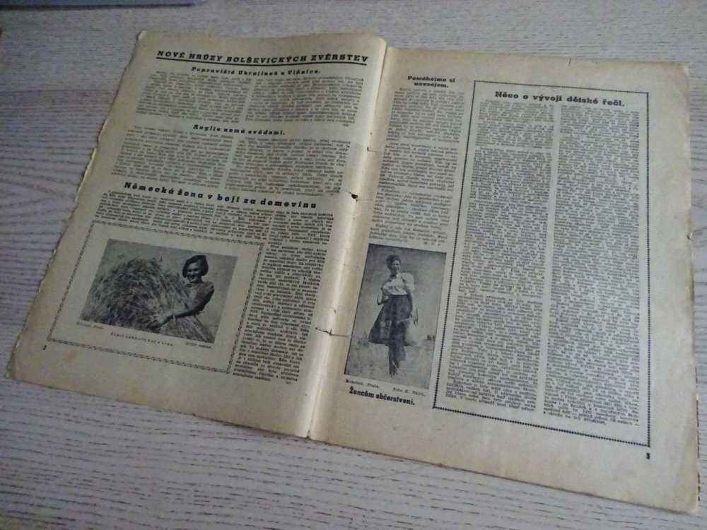 DOBRÉ ČTENÍ, Č. 20, ROČNÍK IV., L. ZEMKOVÁ, **an