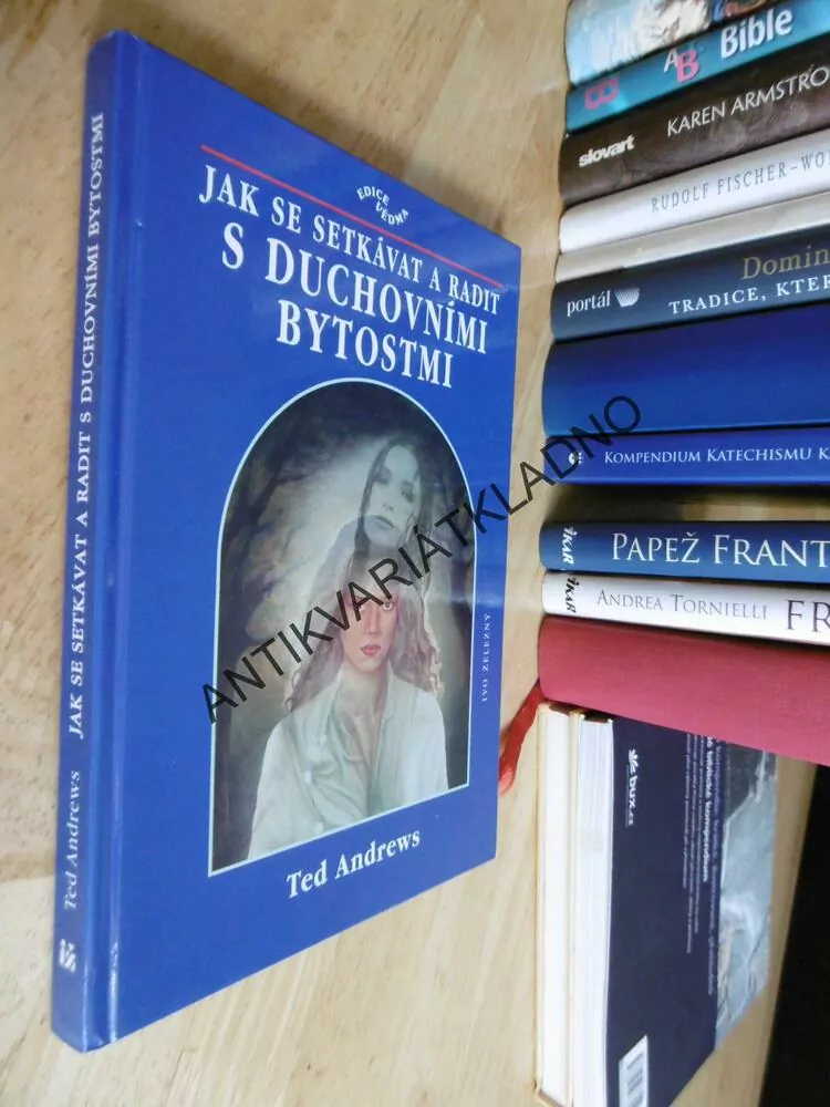 JAK SE SETKÁVAT A RADIT S DUCHOVNÍMI BYTOSTMI, TED ANDREWS