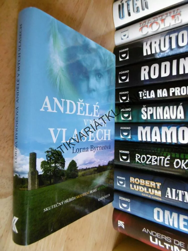 ANDĚLÉ V MÝCH VLASECH, LORNA BYRNEOVÁ, **an 