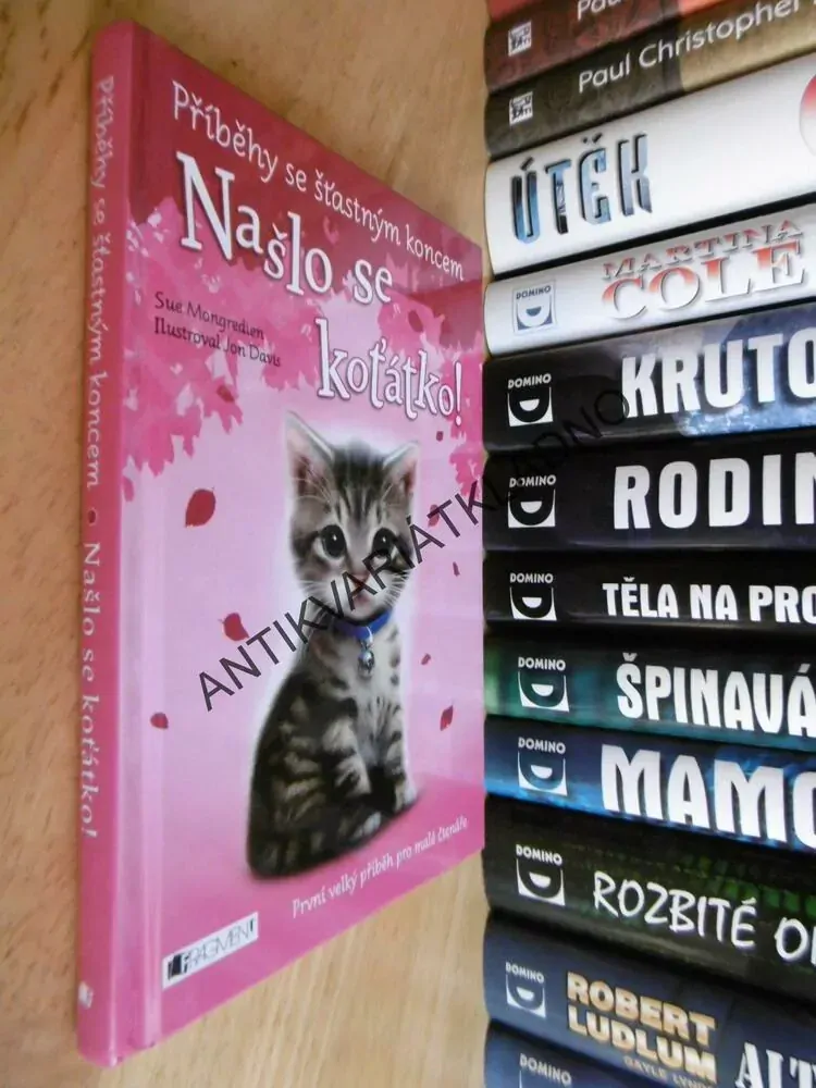 NAŠLO SE KOŤÁTKO! PŘÍBĚHY SE ŠŤASTNÝM KONCEM, **an