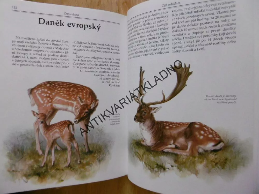 MLÁĎATA V PŘÍRODĚ, PTÁCI, SAVCI Z NAŠICH LESŮ,POLÍ A VOD, BOUCHNER