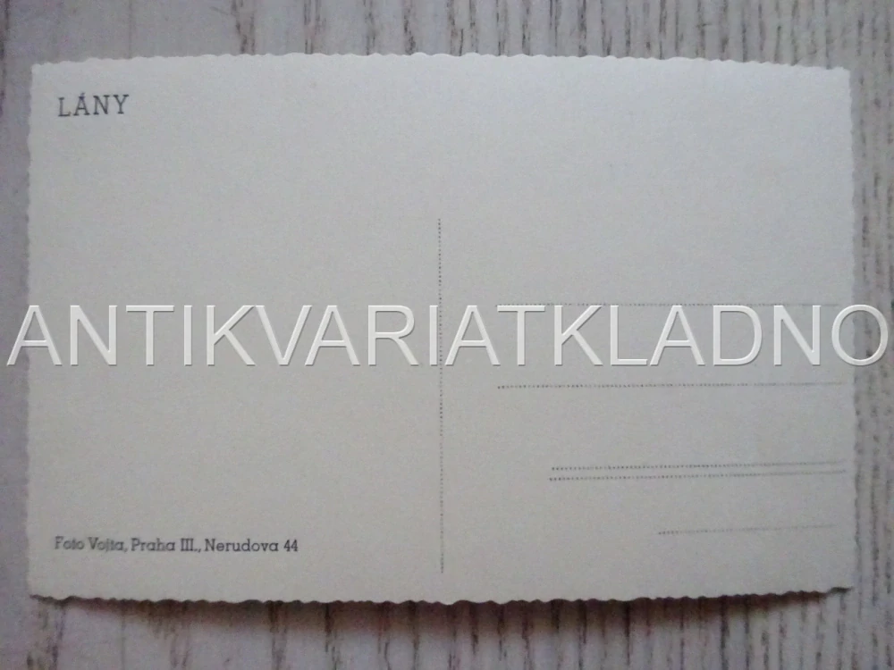 LÁNY, BUDOVA, POHLEDNICE 431