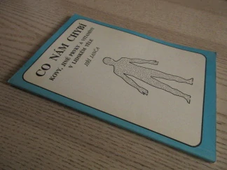 CO NÁM CHYBÍ KOVY, JINÉ PRVKY A VITAMÍNY V LIDSKÉM TĚLE, JIŘÍ JANČA, **an