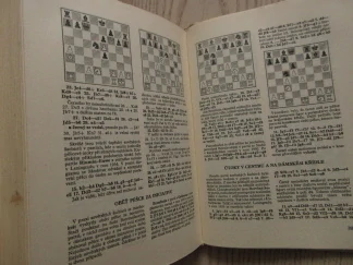 ALECHINŮV ŠACHOVÝ ODKAZ, DÍL 2., A. A. KOTOV, **an