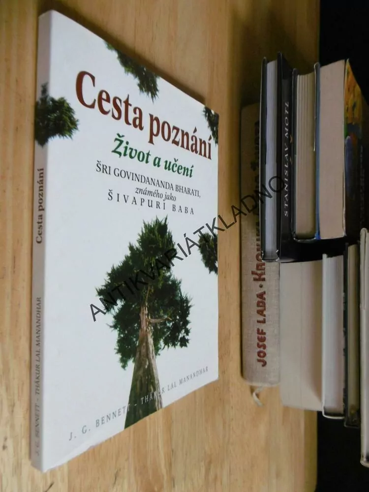 CESTA POZNÁNÍ, ŽIVOT A UČENÍ, ŠRI GOVINDANANDA BHARATI, ŠIVAPURI BABA,