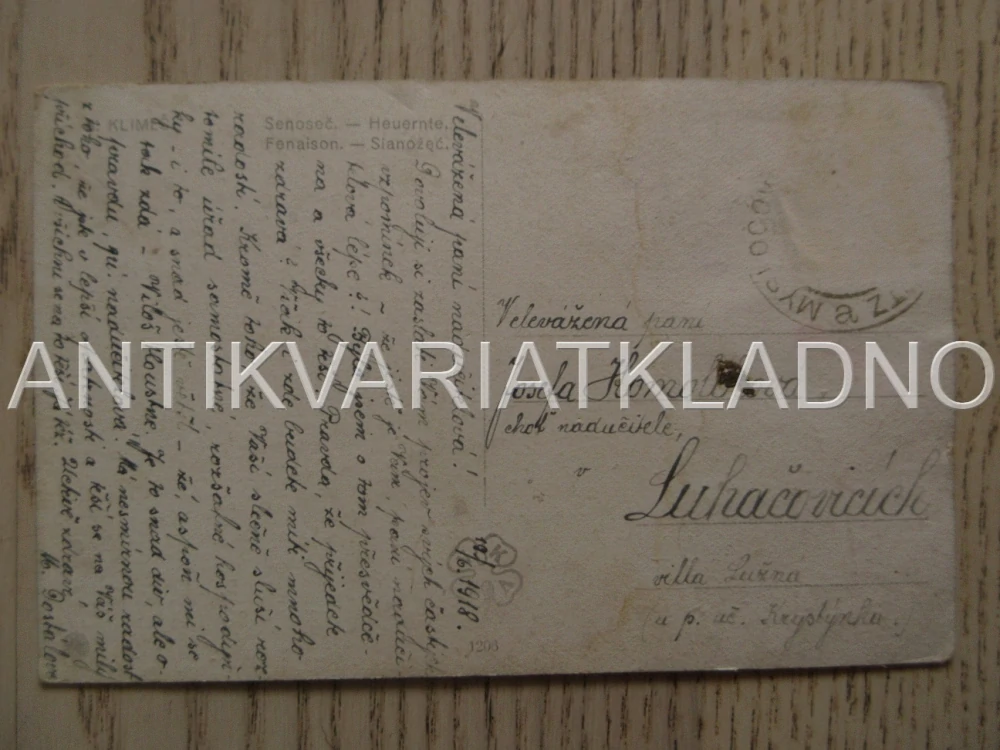 PŘÍRODA, LOUKA, SENOSEČ, KRÁVY, POHLEDNICE 649