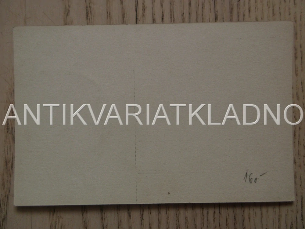 ŽENA, PORTRÉT, KYTKA, OLGA DESMOND, POHLEDNICE 658