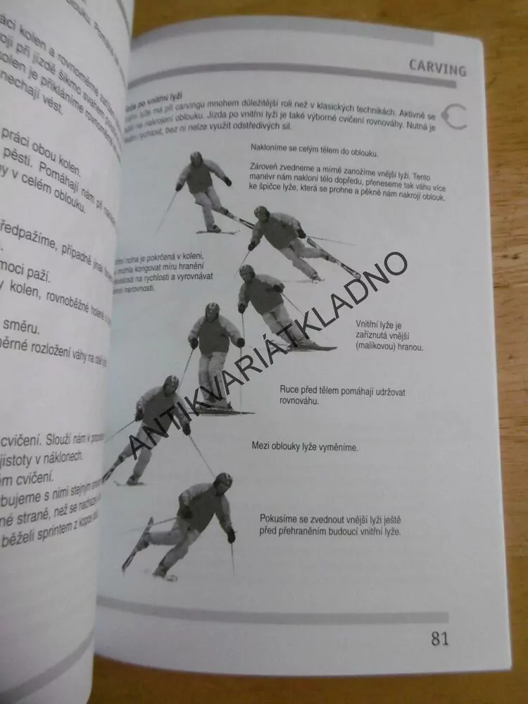 LYŽOVÁNÍ OD ZÁKLADŮ PO FREESTYLE,MUSIL, REICHERT, LYŽE,SPORT