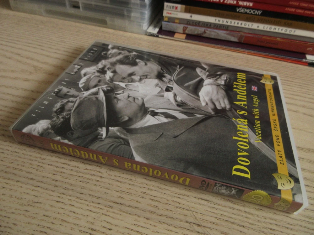 DOVOLENÁ S ANDĚLEM, DVD FILM ČR