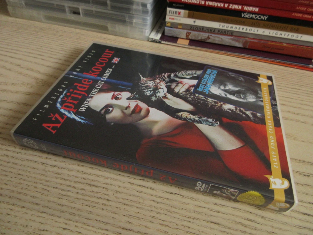AŽ PŘIJDE KOCOUR, DVD FILM 