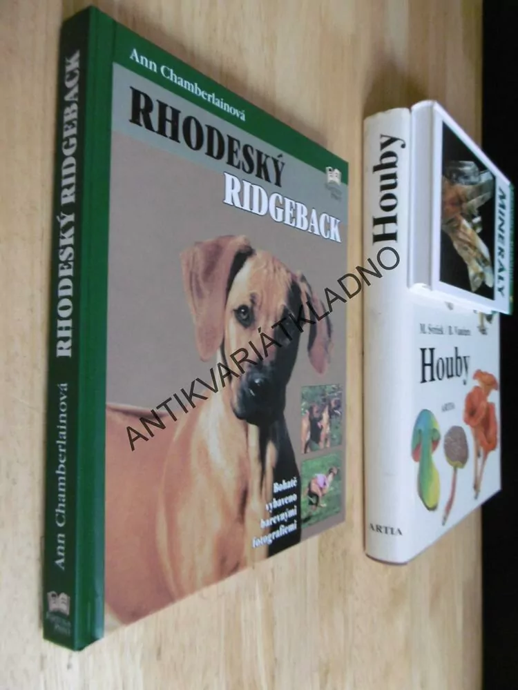 RHODESKÝ RIDGEBACK, PES, VÝCHOVA, PÉČE, **an