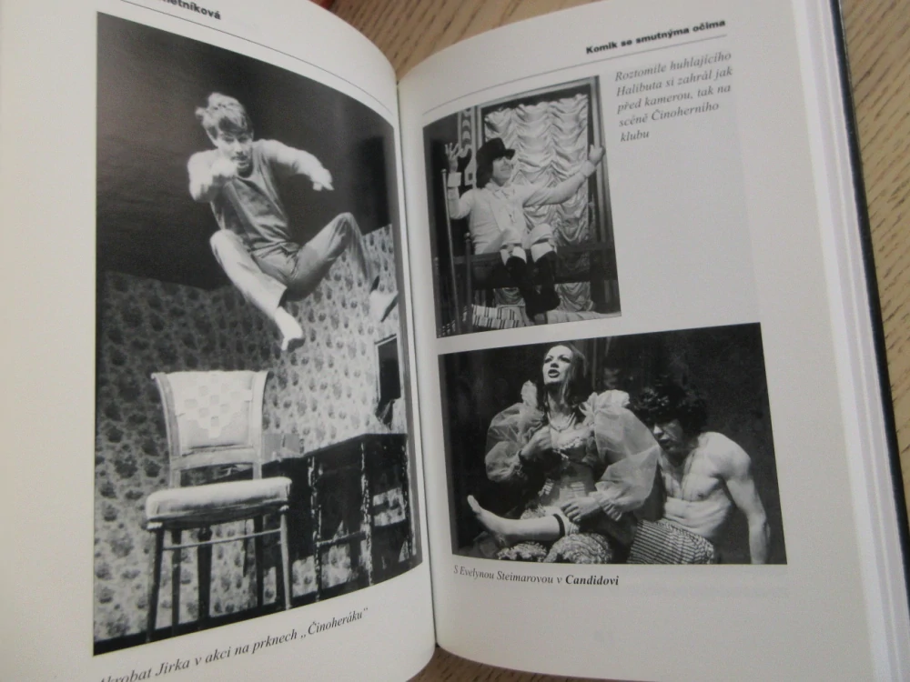 KOMIK SE SMUTNÝMA OČIMA - TAJEMSTVÍ ŽIVOTA A NEVYJASNĚNÉ SMRTI JIŘÍHO HRZÁNA, HANA RYCHETNÍKOVÁ, **an