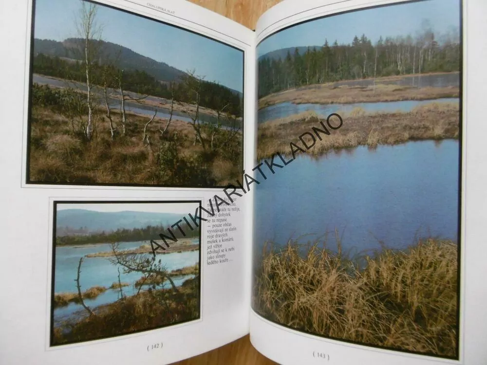 KLOSTERMANNOVA ŠUMAVA, SLÁVA VANEŠ, **an