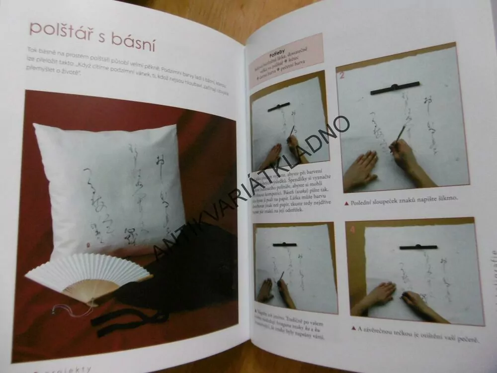 JAPONSKÁ KALIGRAFIE, JOKO TAKENAMI