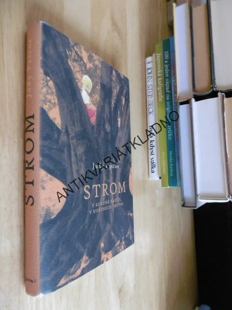 STROM, V KORUNĚ NADĚJE, V KOŘENECH SMUTEK, JUDY PASCOE