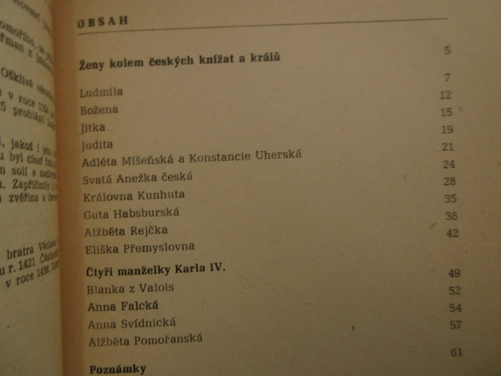 ŽENY KOLEM ČESKÝCH KNÍŽAT A KRÁLŮ, JANA JANUSOVÁ, **an