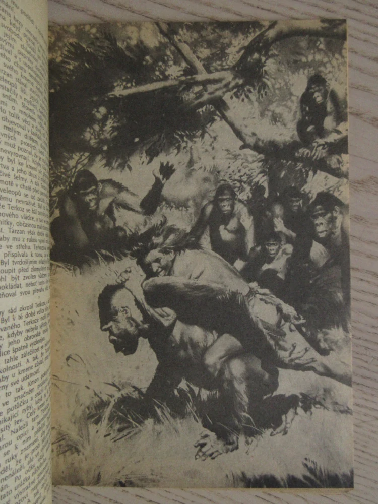TARZAN: SYN DIVOČINY, 1. DÍL, EDGAR RICE BURROUGHS, **an