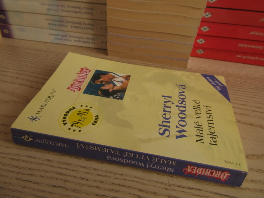 MALÉ VELKÉ TAJEMSTVÍ, SHERRYL WOODSOVÁ, **an