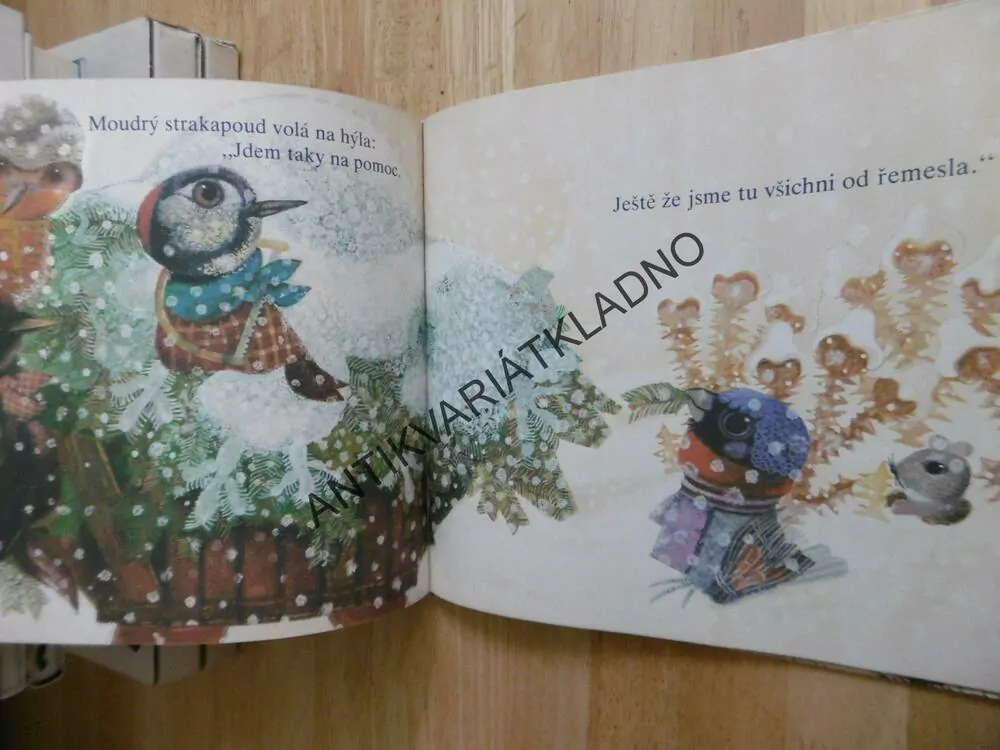 BÍLÁ ZIMA, LUKEŠOVÁ, KUDLÁČEK