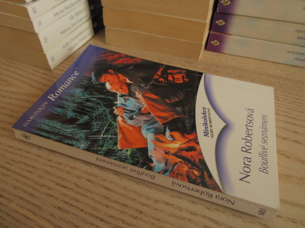BOUŘLIVÉ SEZNÁMENÍ, NORA ROBERTSOVÁ, **an