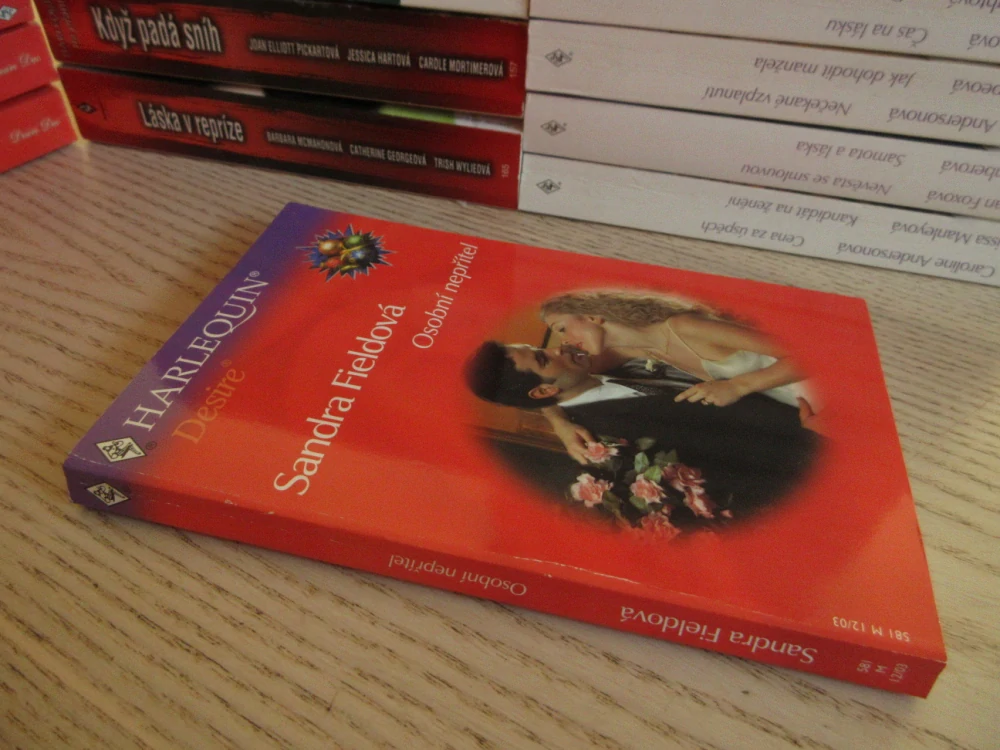 OSOBNÍ NEPŘÍTEL, SANDRA FIELDOVÁ, **an
