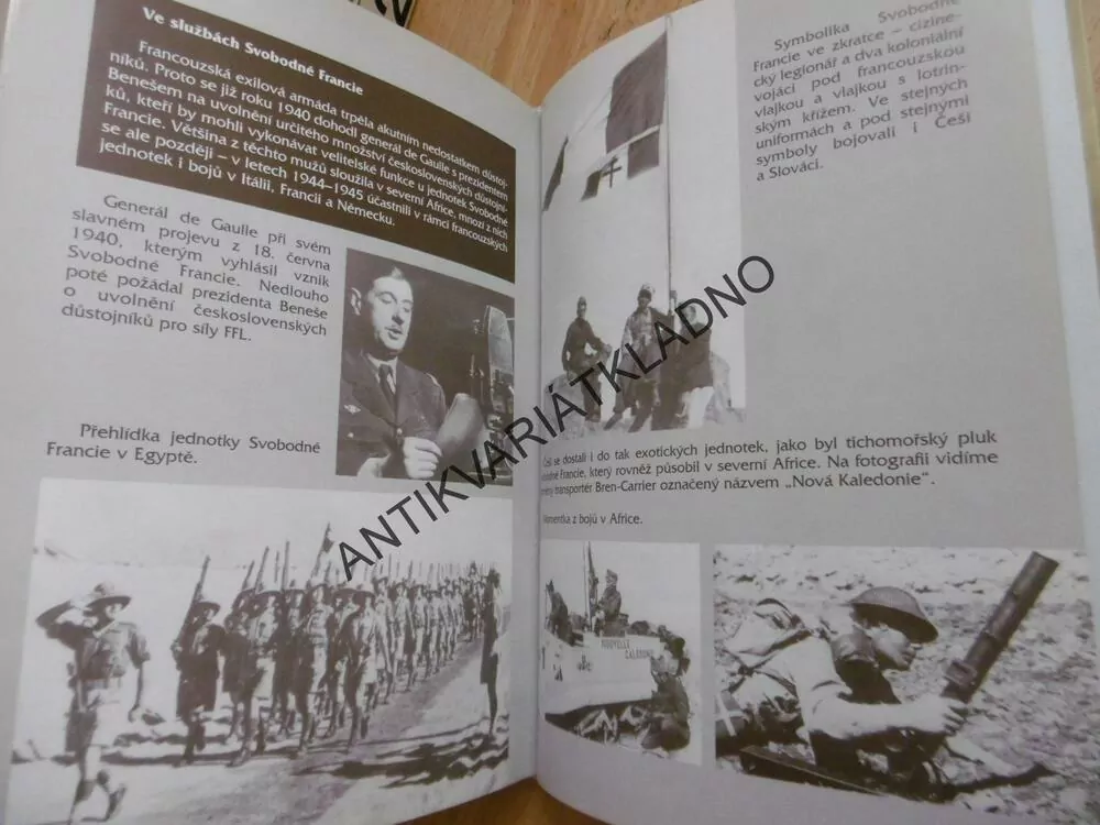 NAŠI V POUŠTI, **an