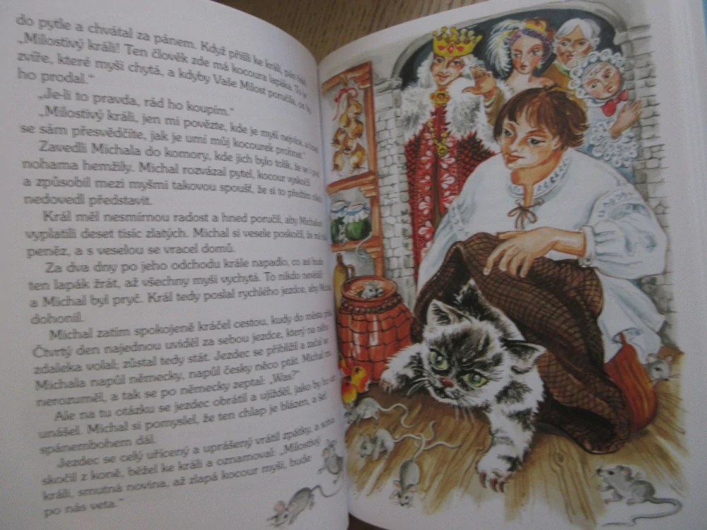 KRÁLOVSTVÍ POHÁDEK, POHÁDKY B. NĚMCOVÉ A K. J. ERBENA, **an