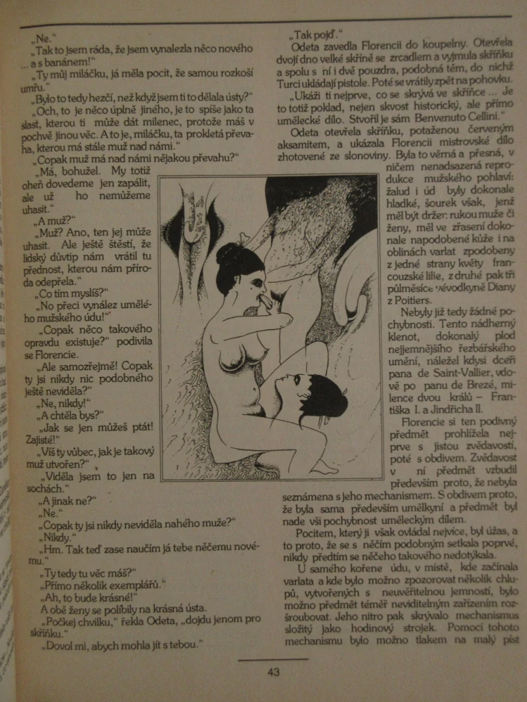 NEI REPORT, EROTICKÁ KNIHOVNIČKA EROTIKA, SEX , PORNO, **an 
