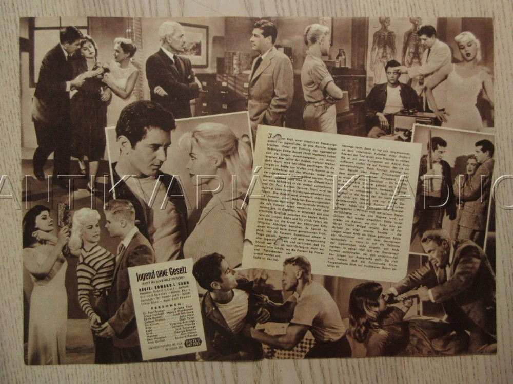 RIOT IN JUVENILE PRISON, J. THOR, M. HENDERSON, S. MARLOWE, BIO PROGRAM Č. 5137