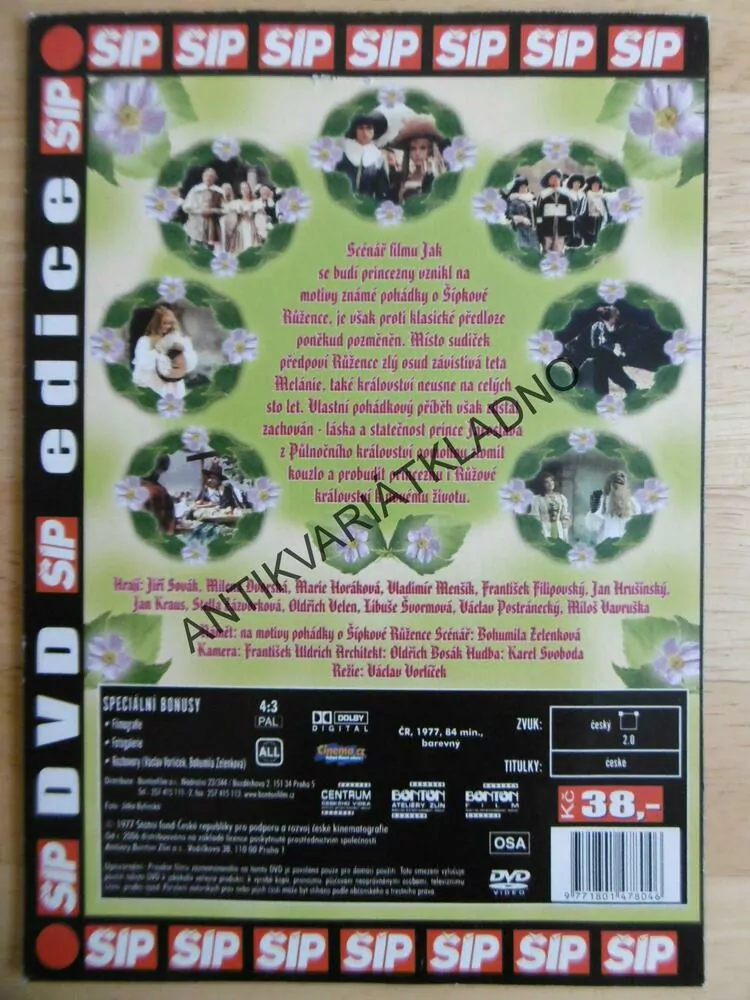 JAK SE BUDÍ PRINCEZNY, DVD FILM POHÁDKA