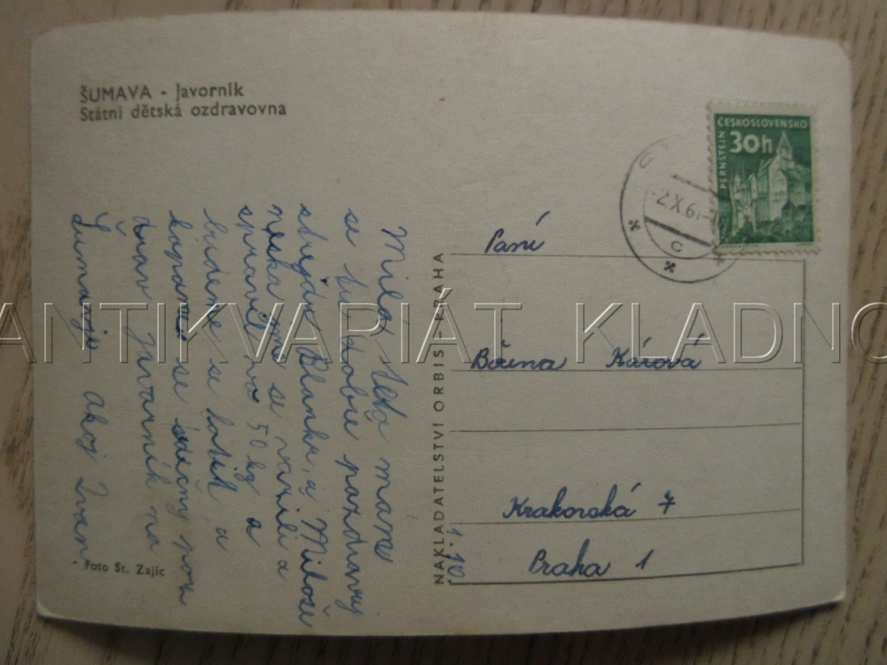 ŠUMAVA - JAVORNÍK, STÁTNÍ DĚTSKÁ OZDRAVOVNA, OKRES PRACHATICE, POHLEDNICE 738