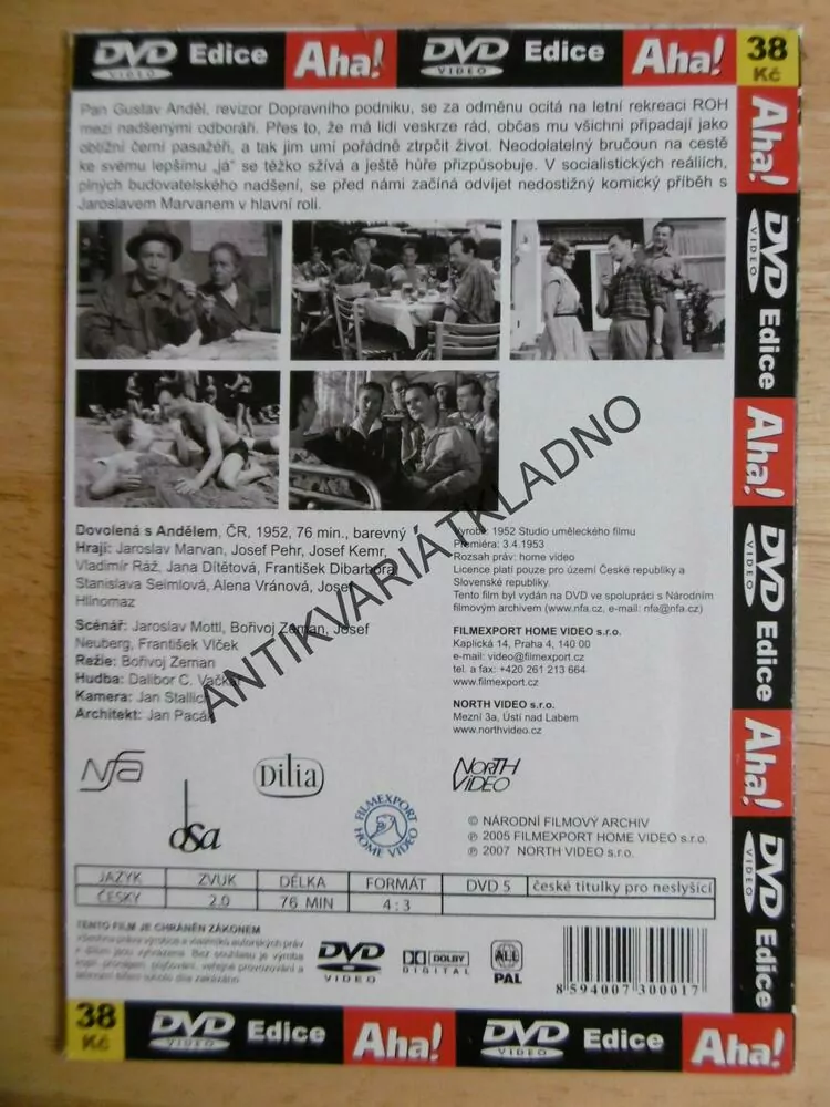 DOVOLENÁ S ANDĚLEM, DVD FILM 