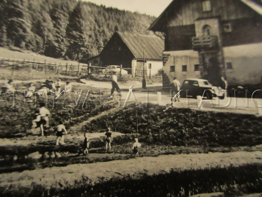 JIZERSKÉ HORY, ZOTAVOVNA SONP KLADNO V DOLNÍM MAXOVĚ, VETERÁN, OKRES JABLONEC NAD NISOU, POHLEDNICE 891