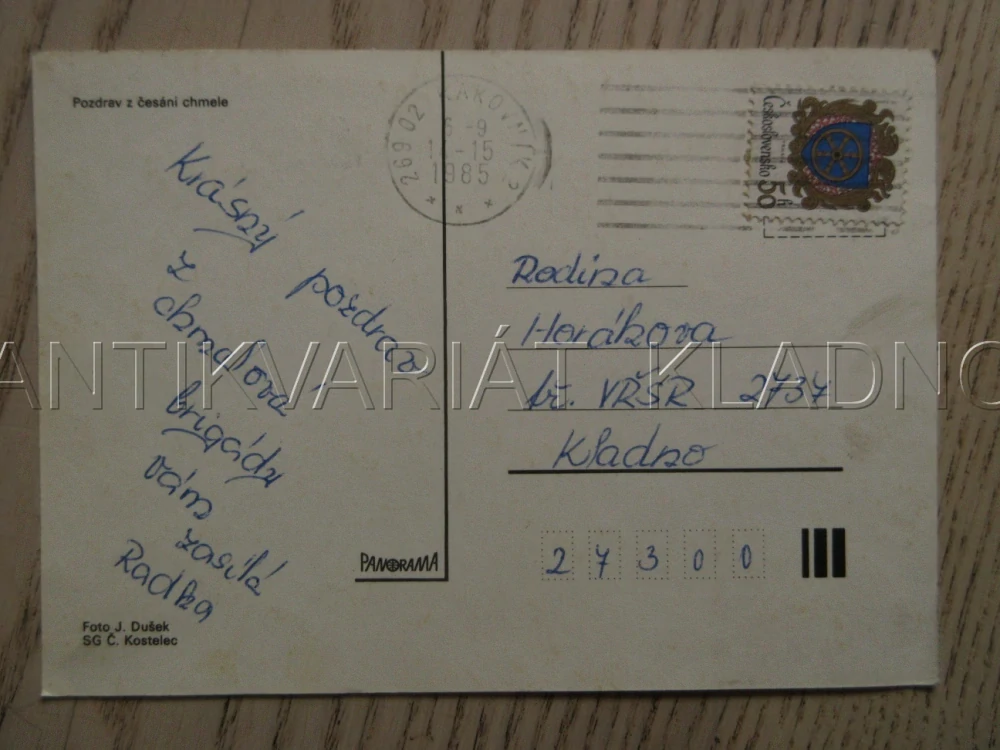 POZDRAV Z ČESÁNÍ CHMELE, POHLEDNICE 904