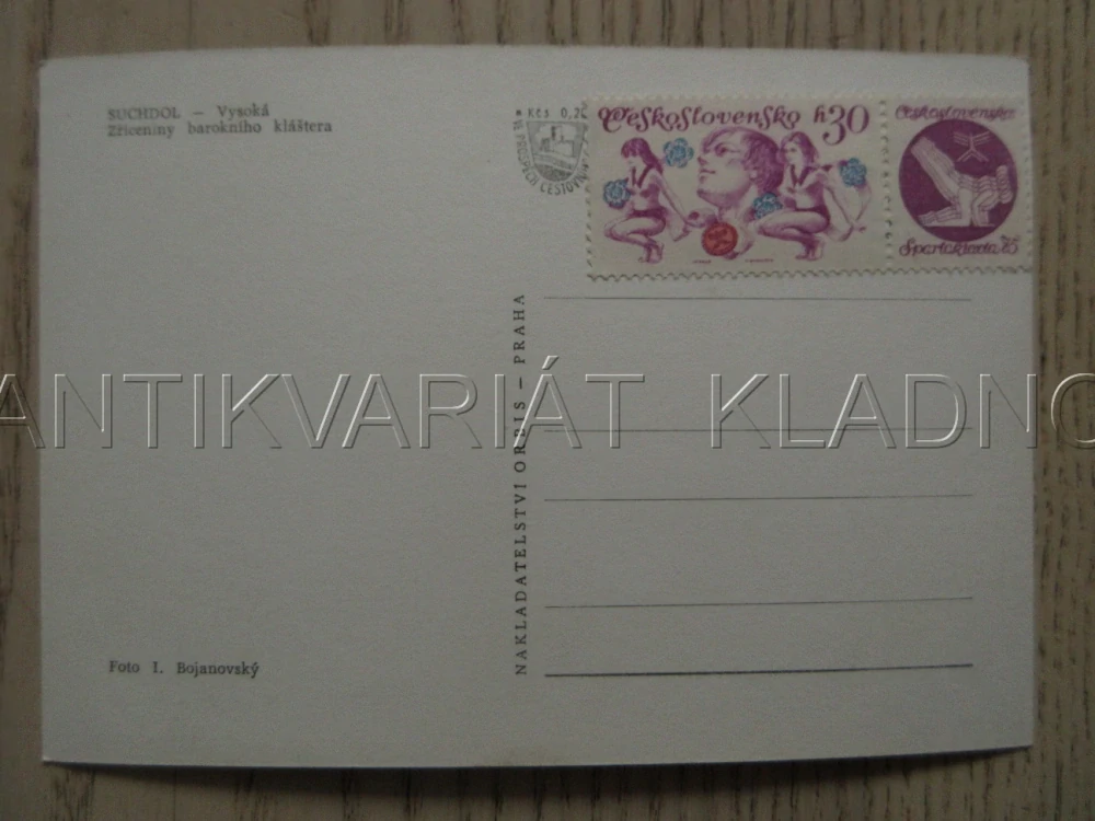 SUCHDOL - VYSOKÁ, ZŘÍCENINY BAROKNÍHO KLÁŠTERA, VETERÁN, OKRES KUTNÁ HORA, POHLEDNICE 938