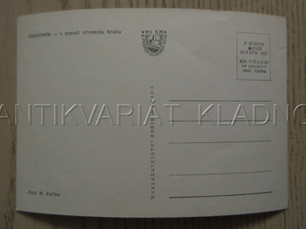 CHOUSTNÍK, V POZADÍ ZŘÍCENINA HRADU, OKRES TÁBOR, POHLEDNICE 1013