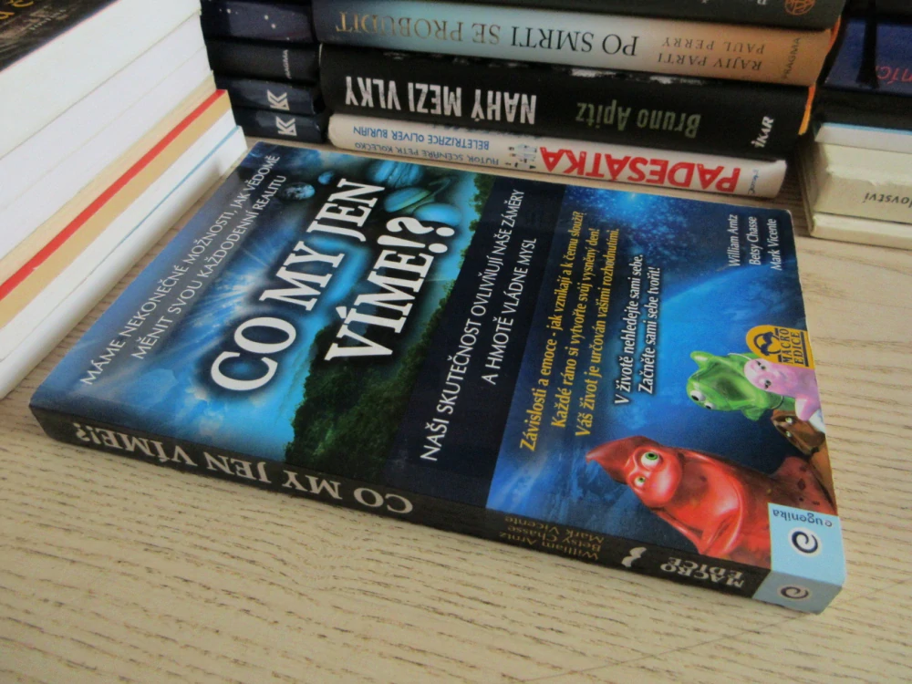 CO MY JEN VÍME!?, WILLIAM ARNTZ, BETSY CHASSE, MARK VICENTE, **an